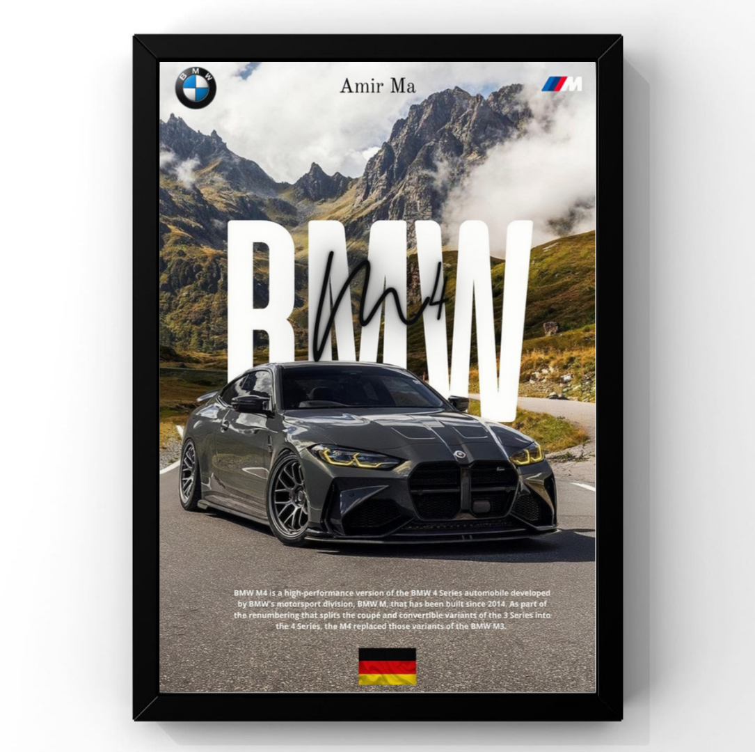 BMW Frame